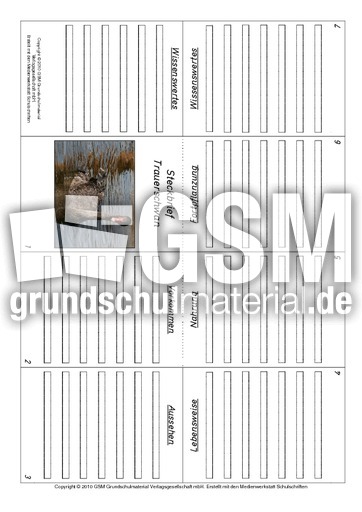 Faltbuch-Trauerschwan.pdf